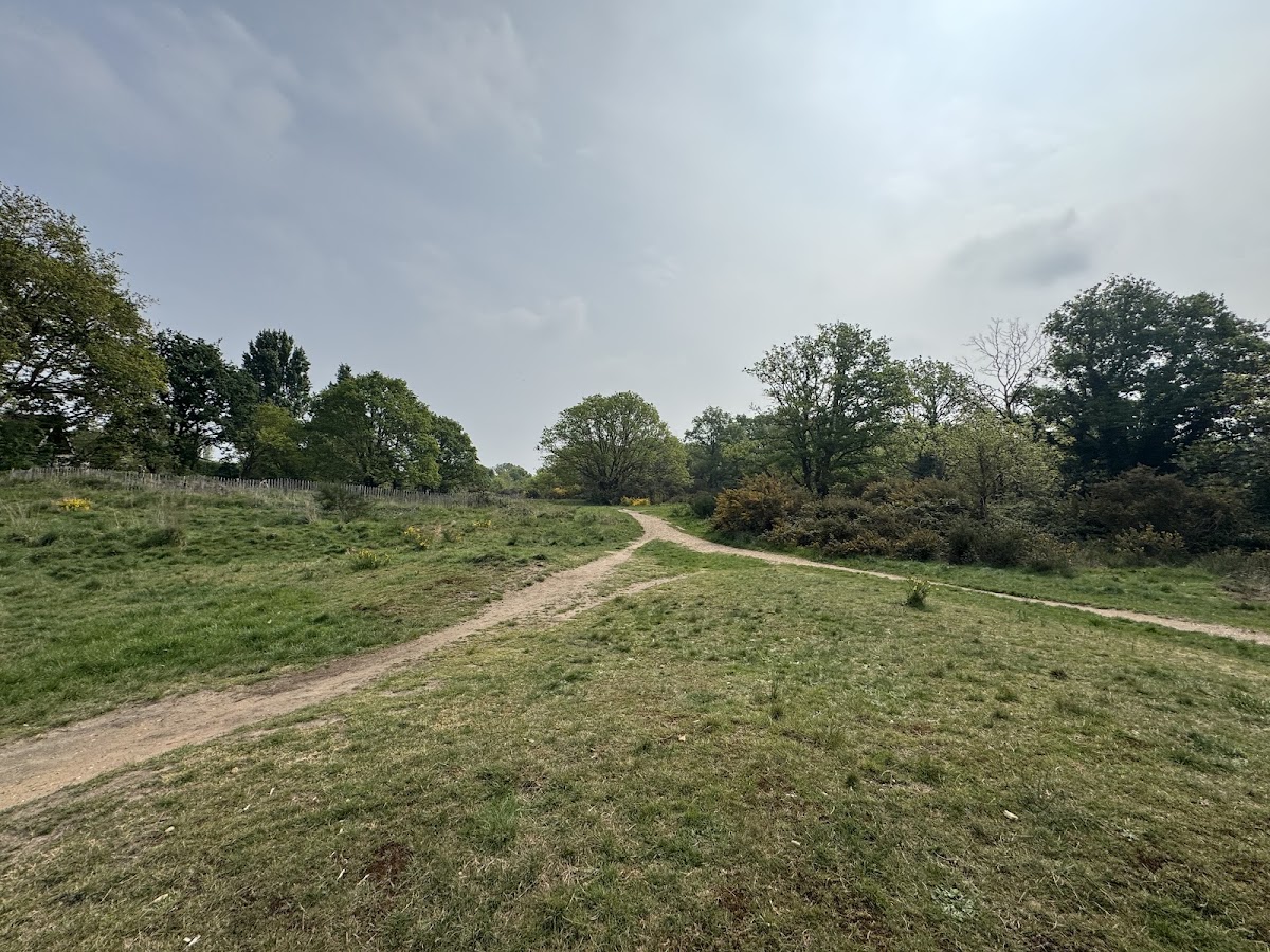 Barnes Common