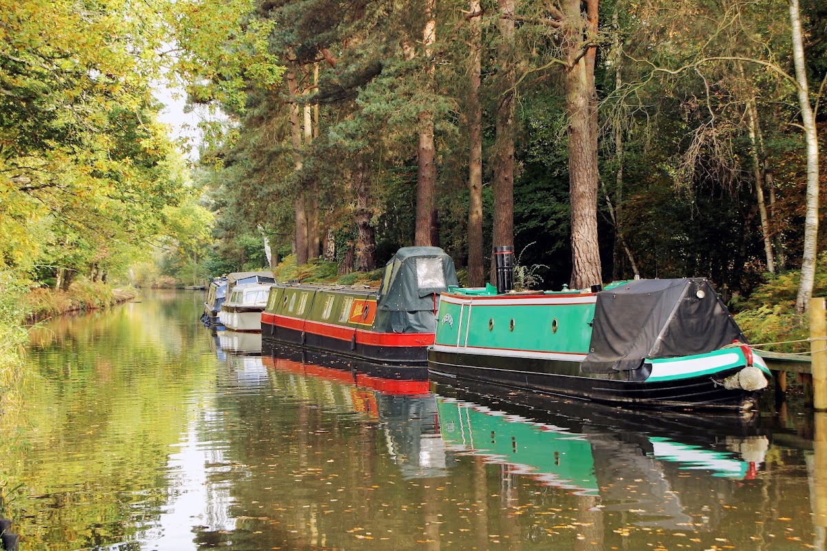 Basingstoke Canal