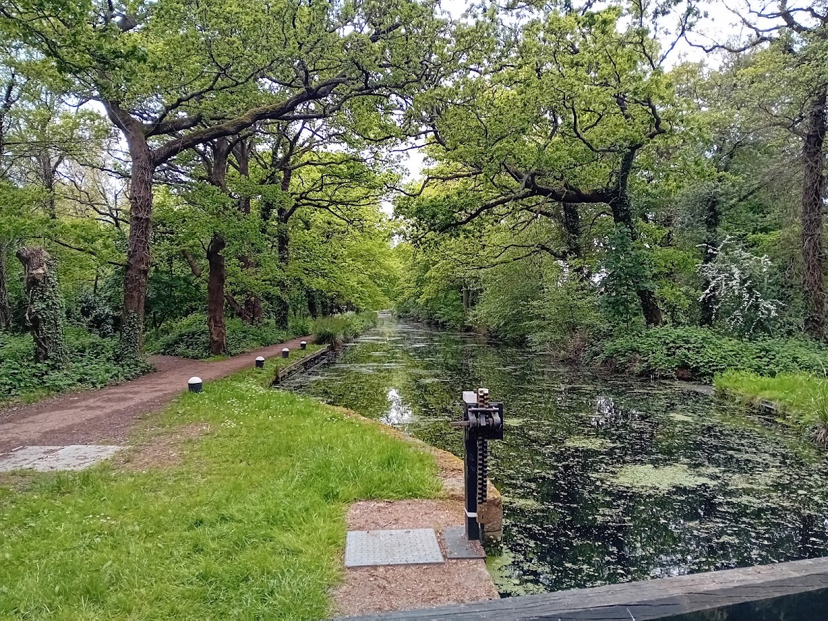 Basingstoke Canal Towpath