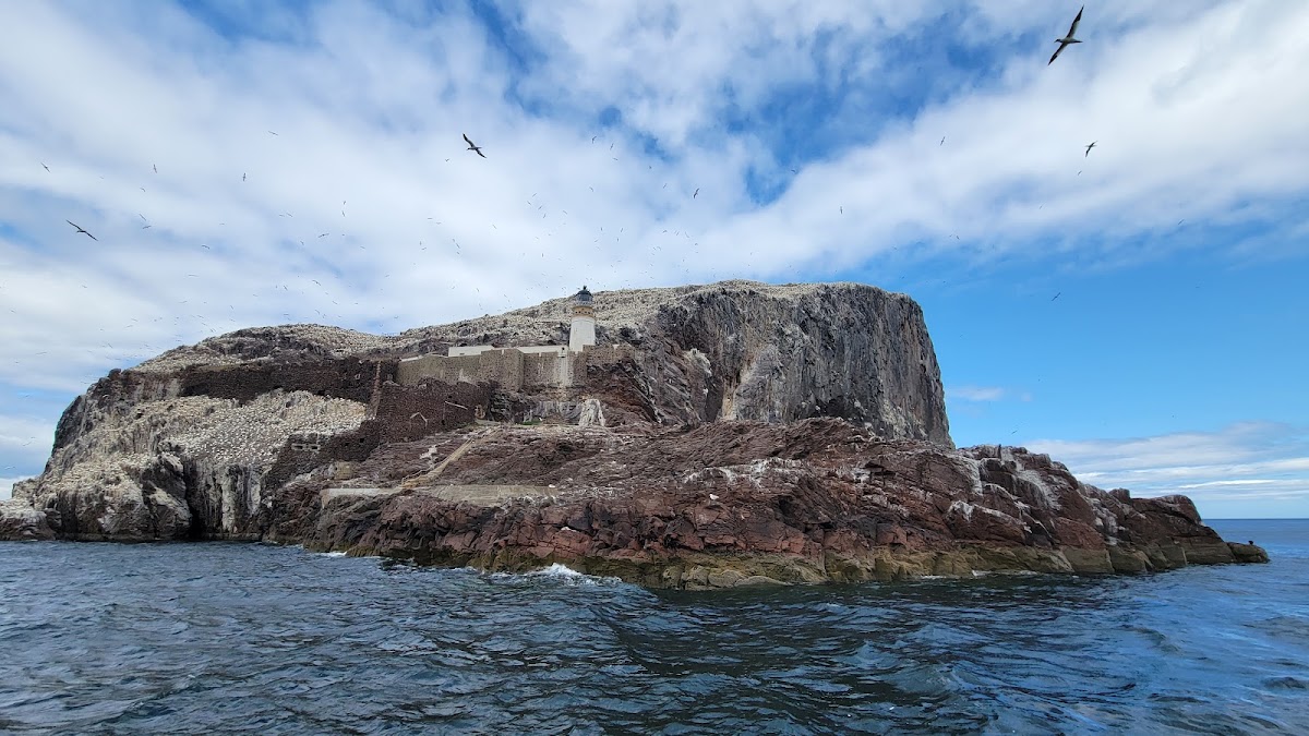 Bass Rock Boat Trips (Sula)