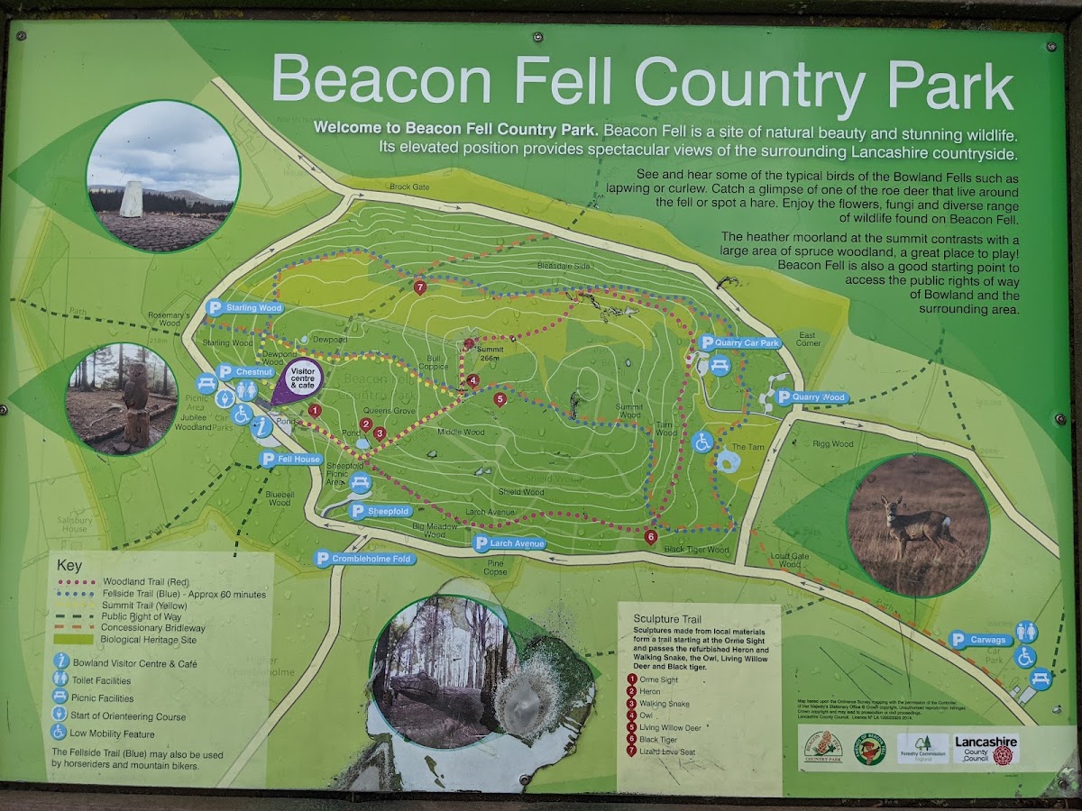 Beacon Fell Country Park