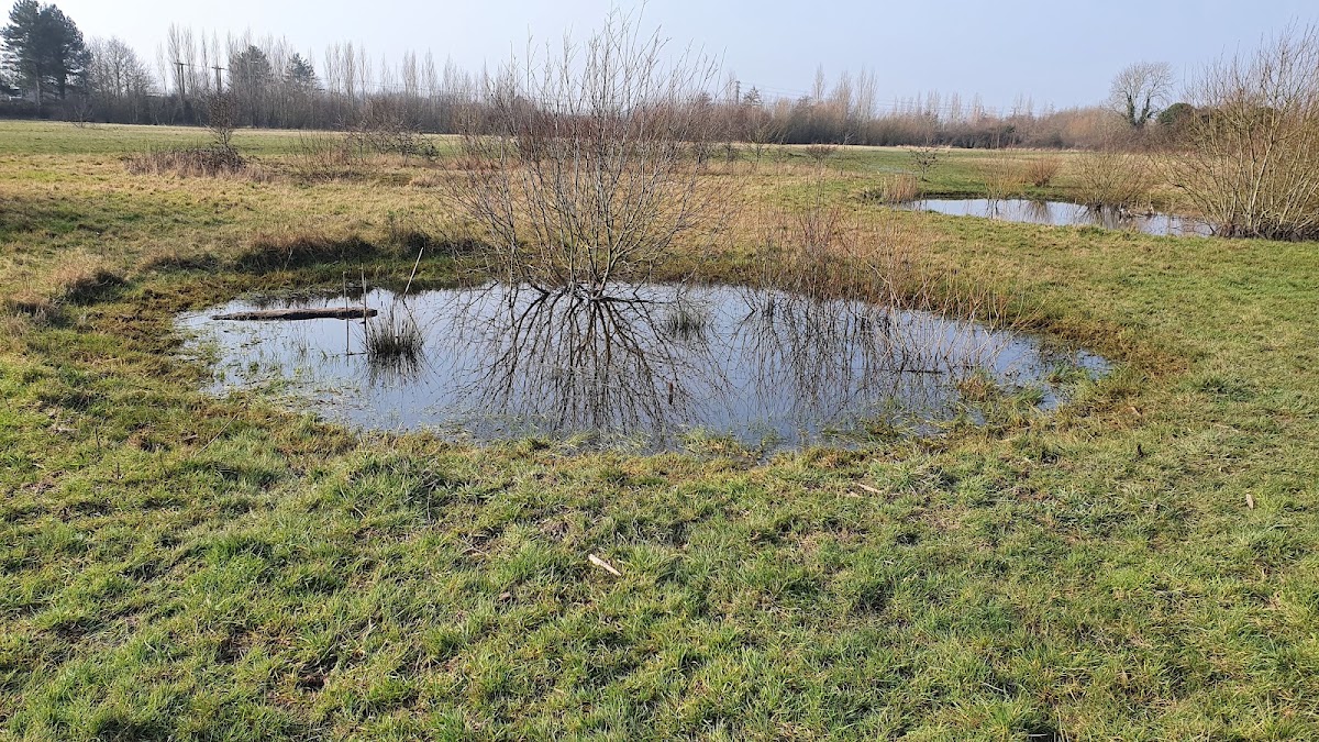 Bersted Brooks