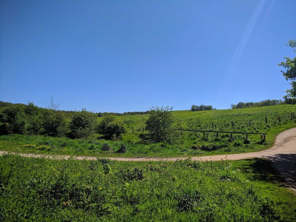 Bestwood Country Park