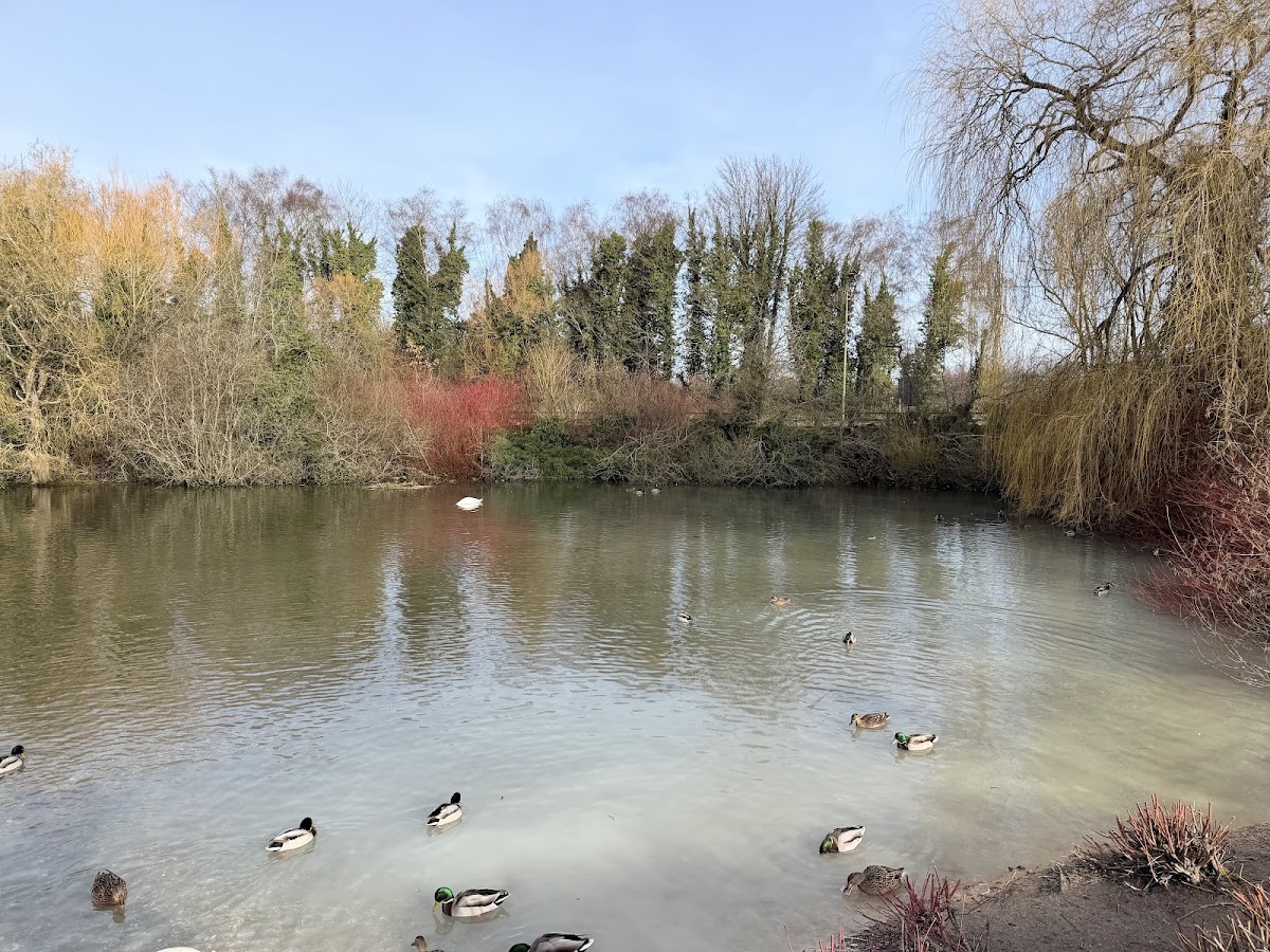 Black Dam Ponds