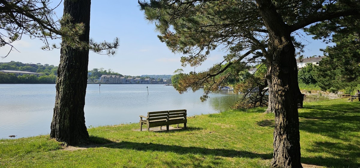 Boscawen Park riverside walk