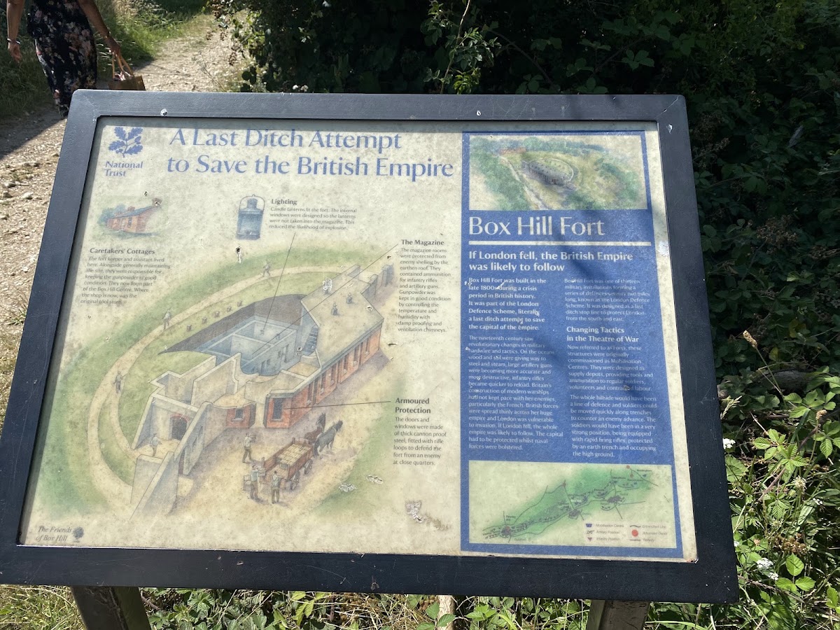 Box Hill