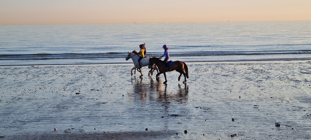 Bracklesham Bay