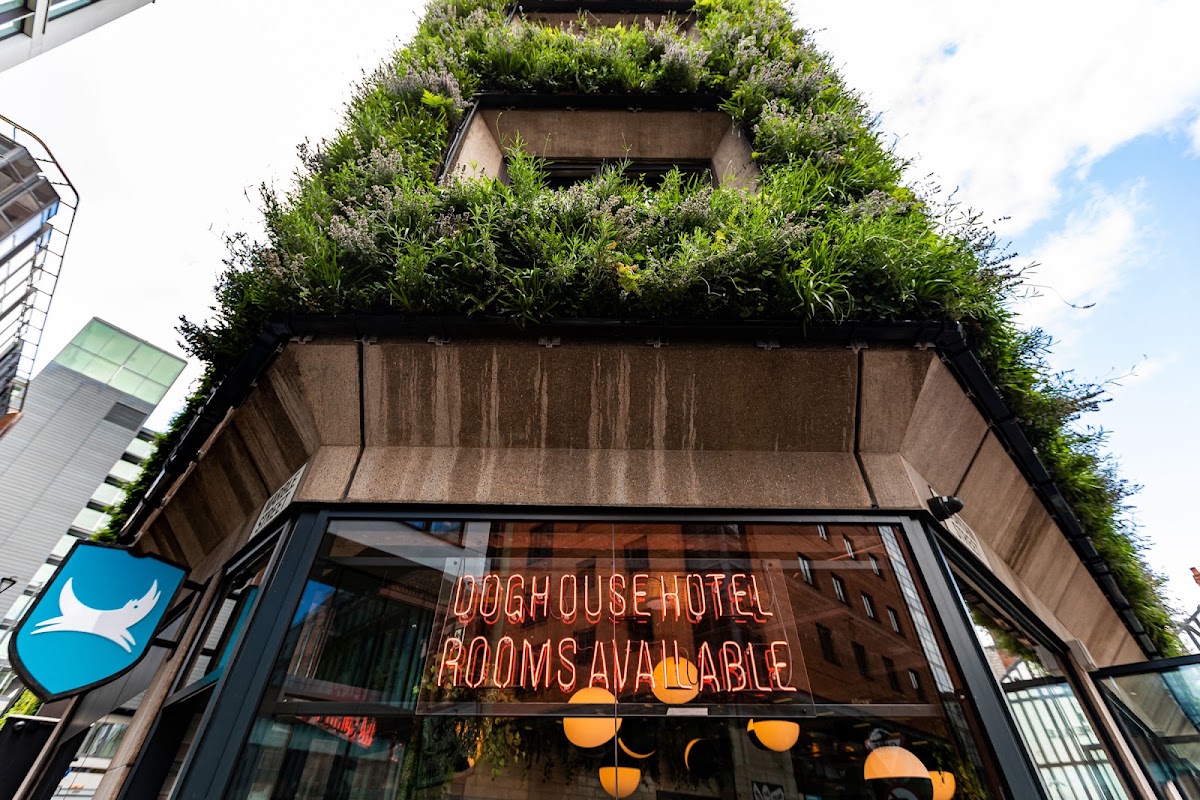 BrewDog DogHouse Manchester