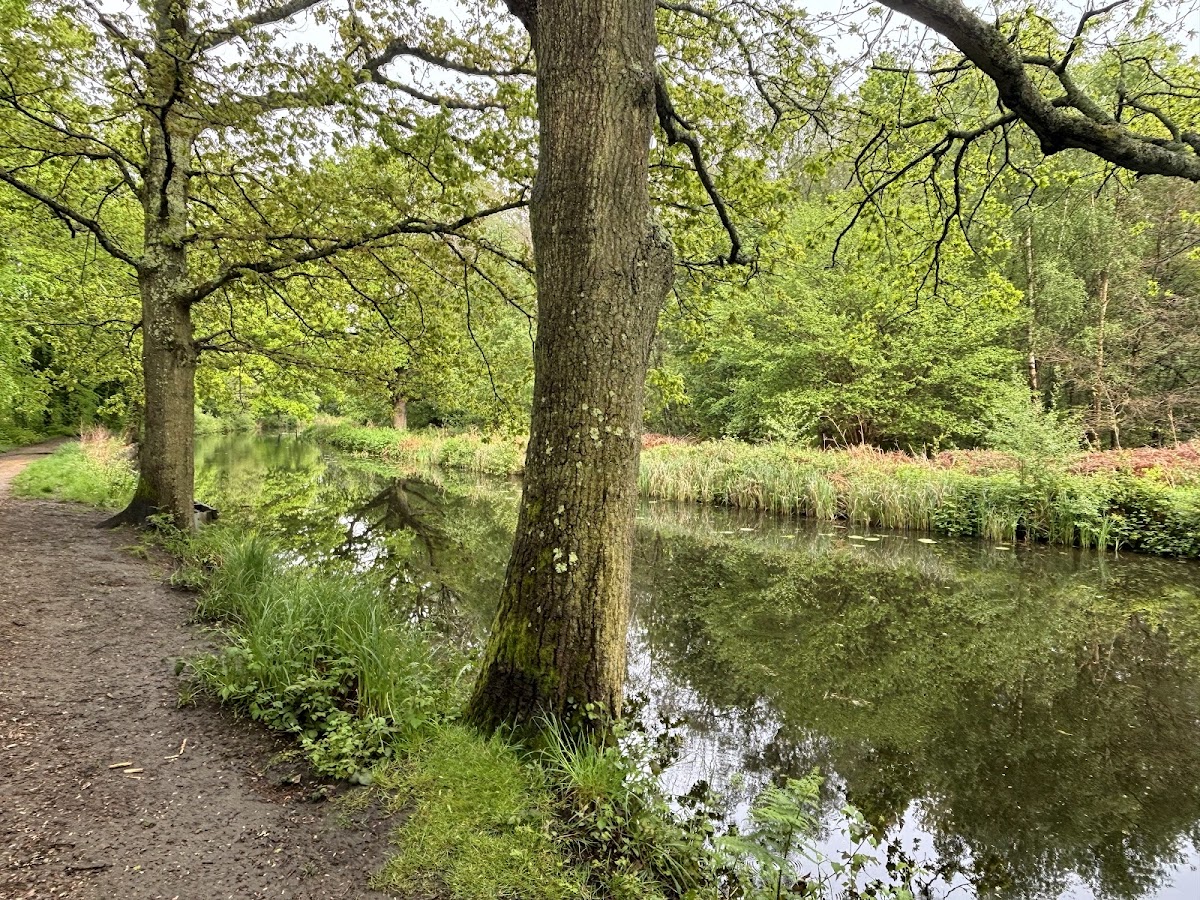 Brookwood Country Park