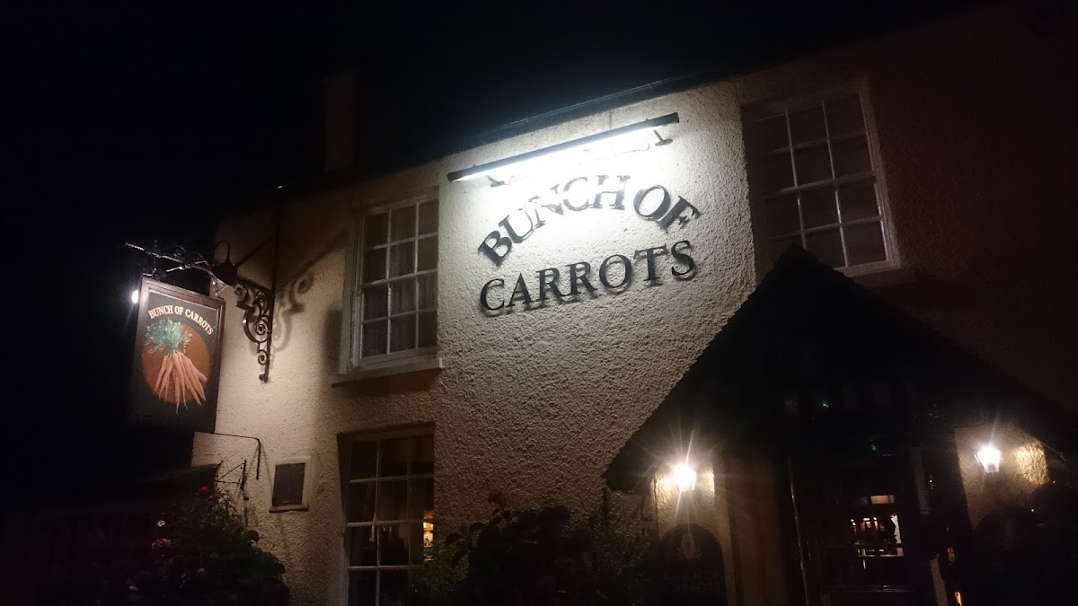 Bunch of Carrots