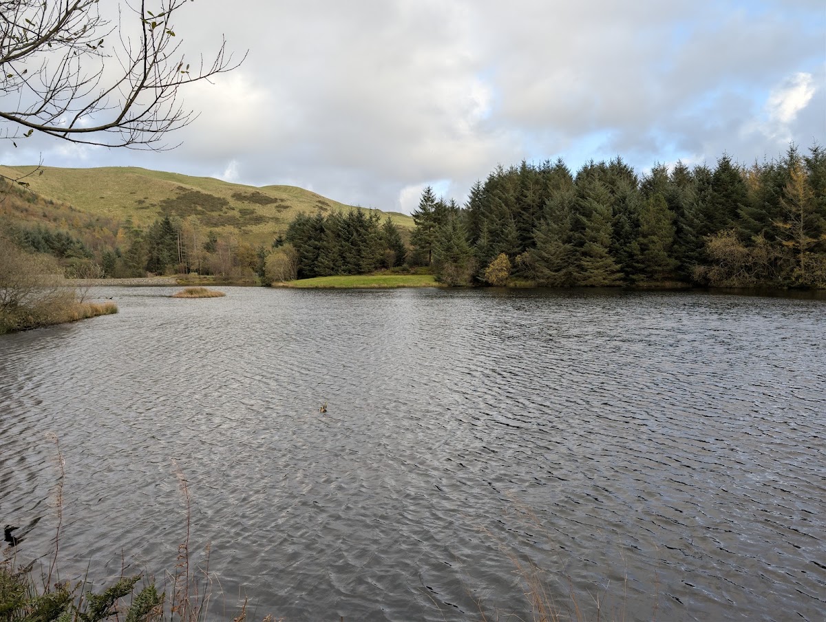 Bwlch Nant yr Arian Forest Visitor Centre