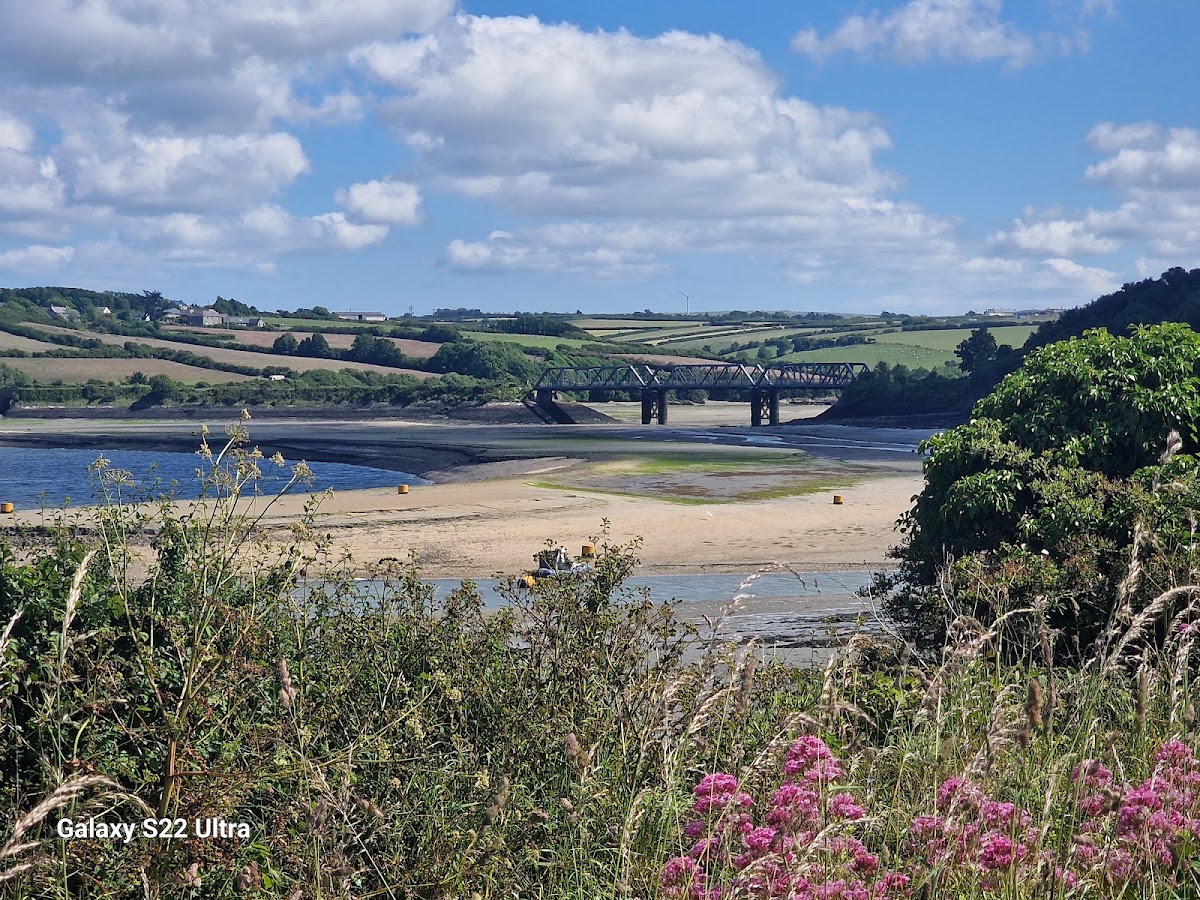 Camel Trail