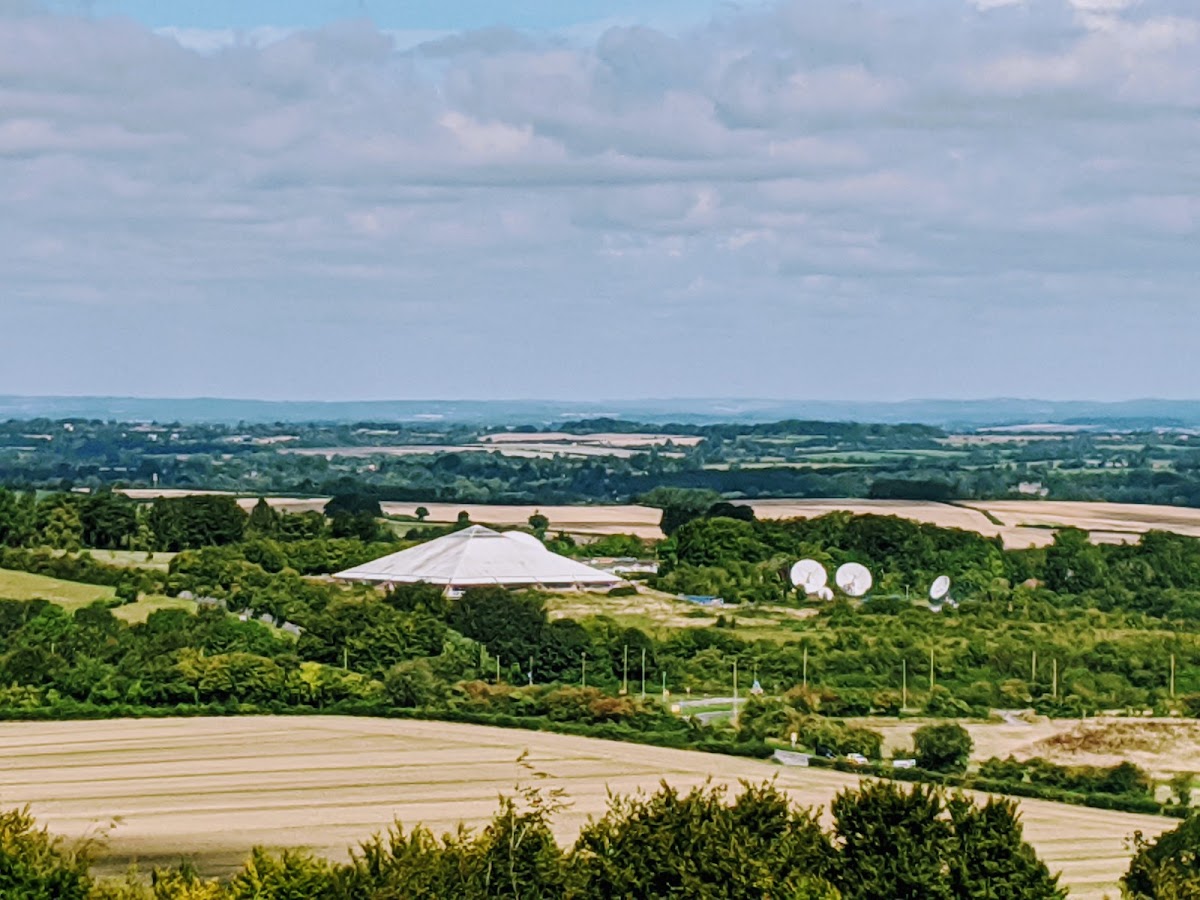 Cheesefoot Head