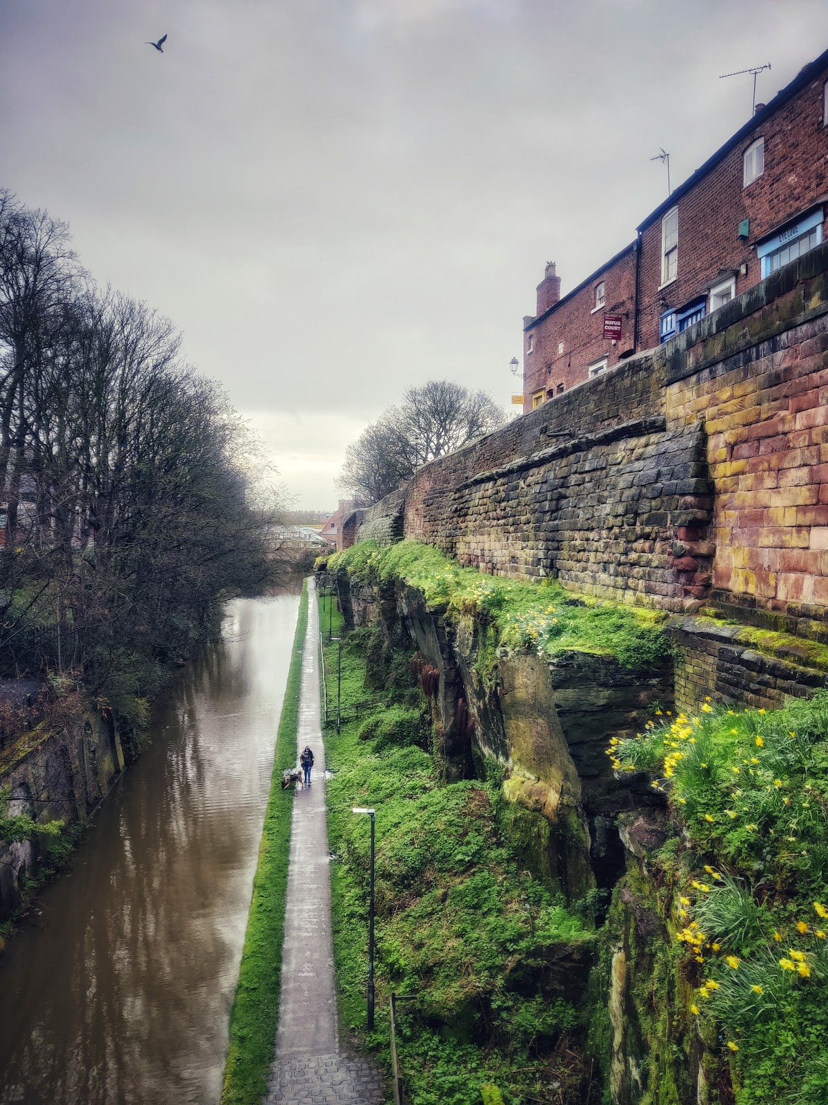 The Roman and medieval city walls of Chester