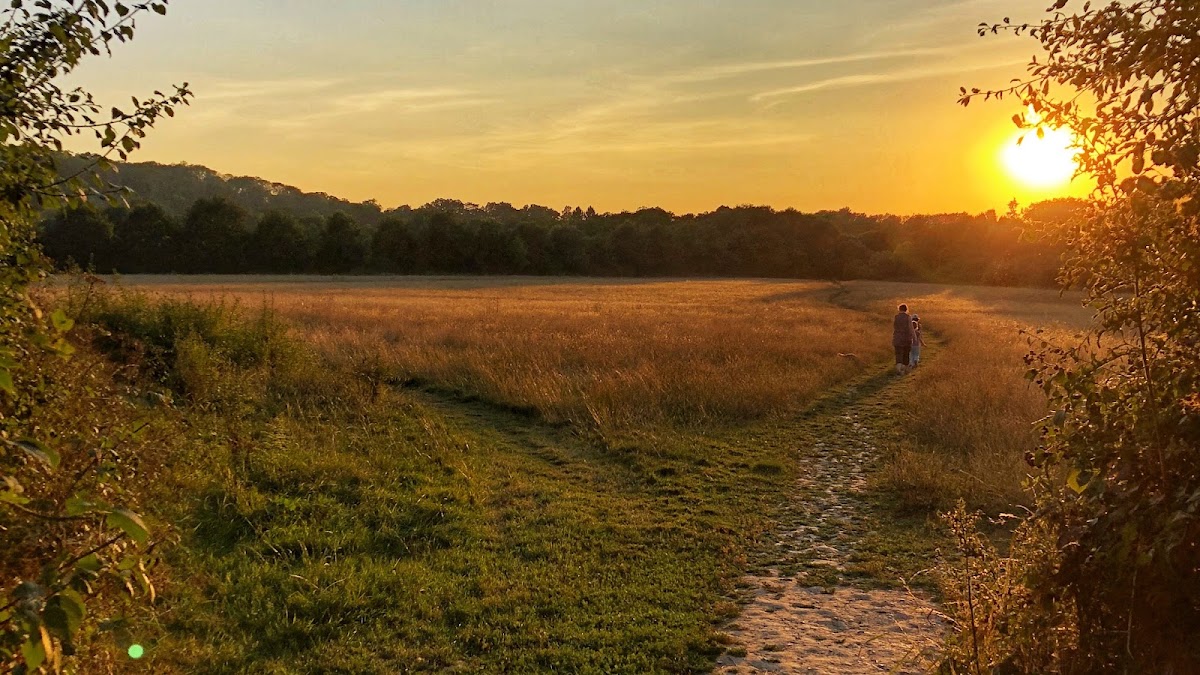 Chesworth Farm