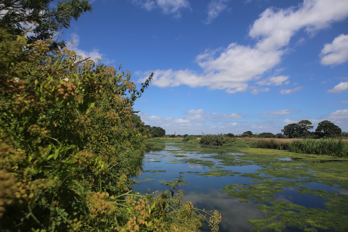 Chichester Canal Walk