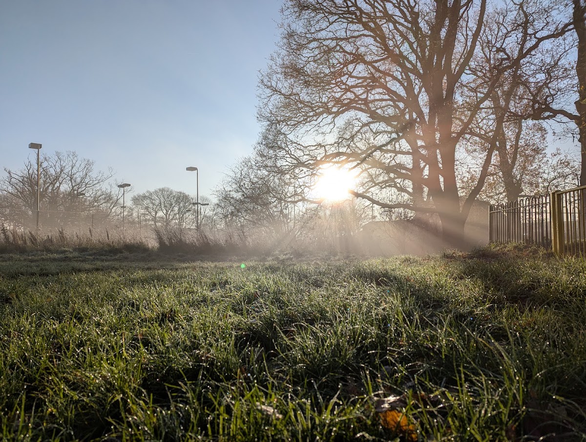 Clayfield Copse