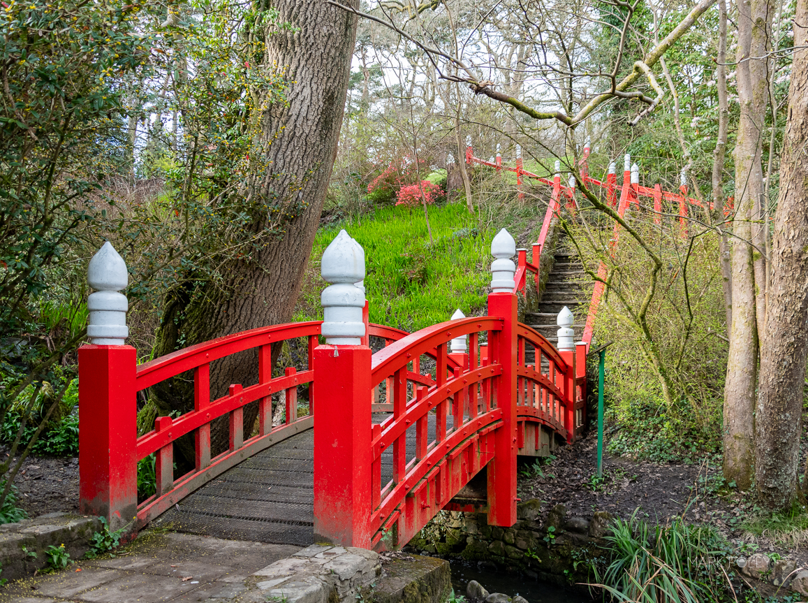 Clyne Gardens