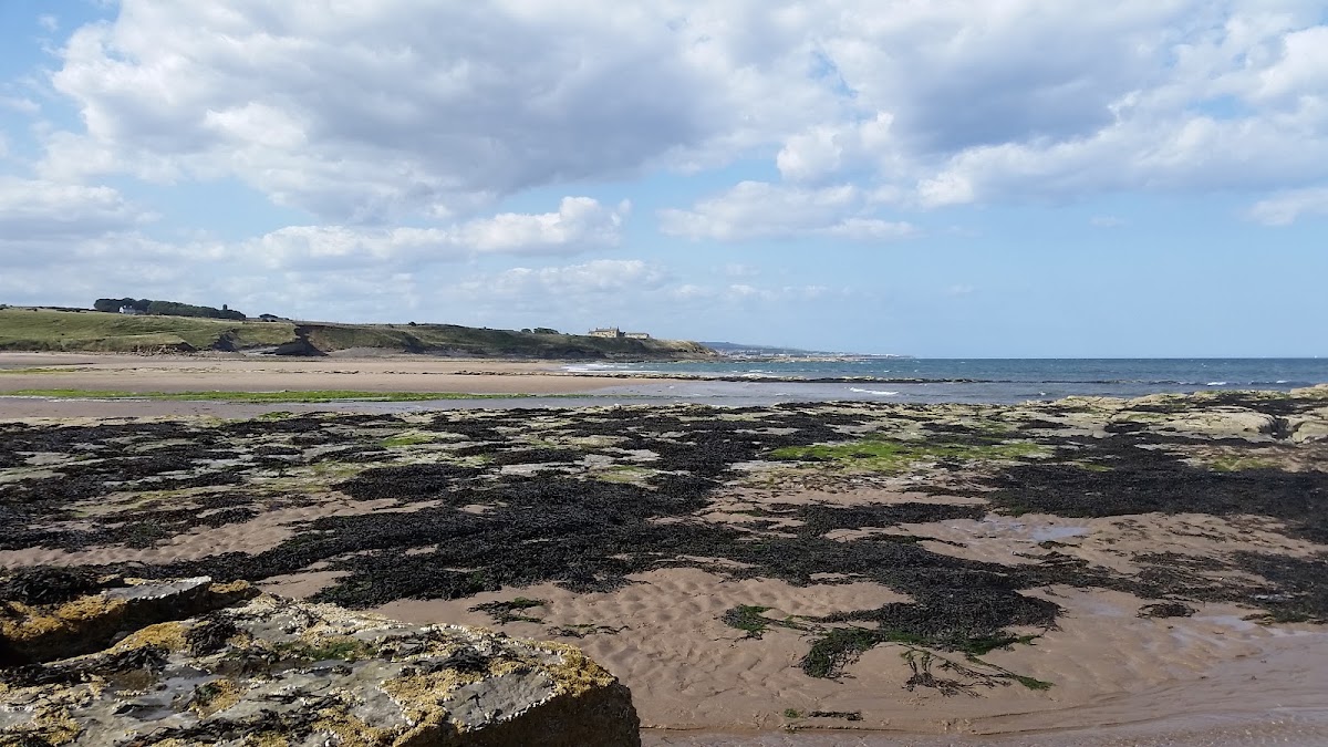 Cocklawburn Beach