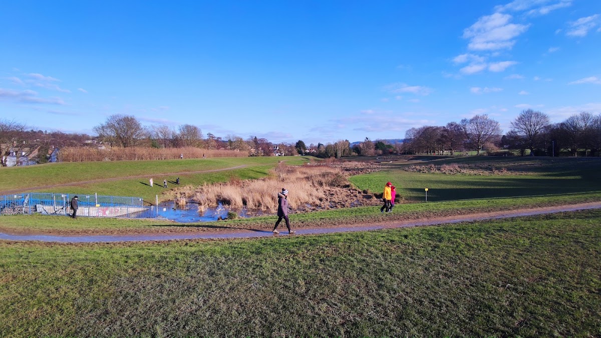 Cox's Meadow