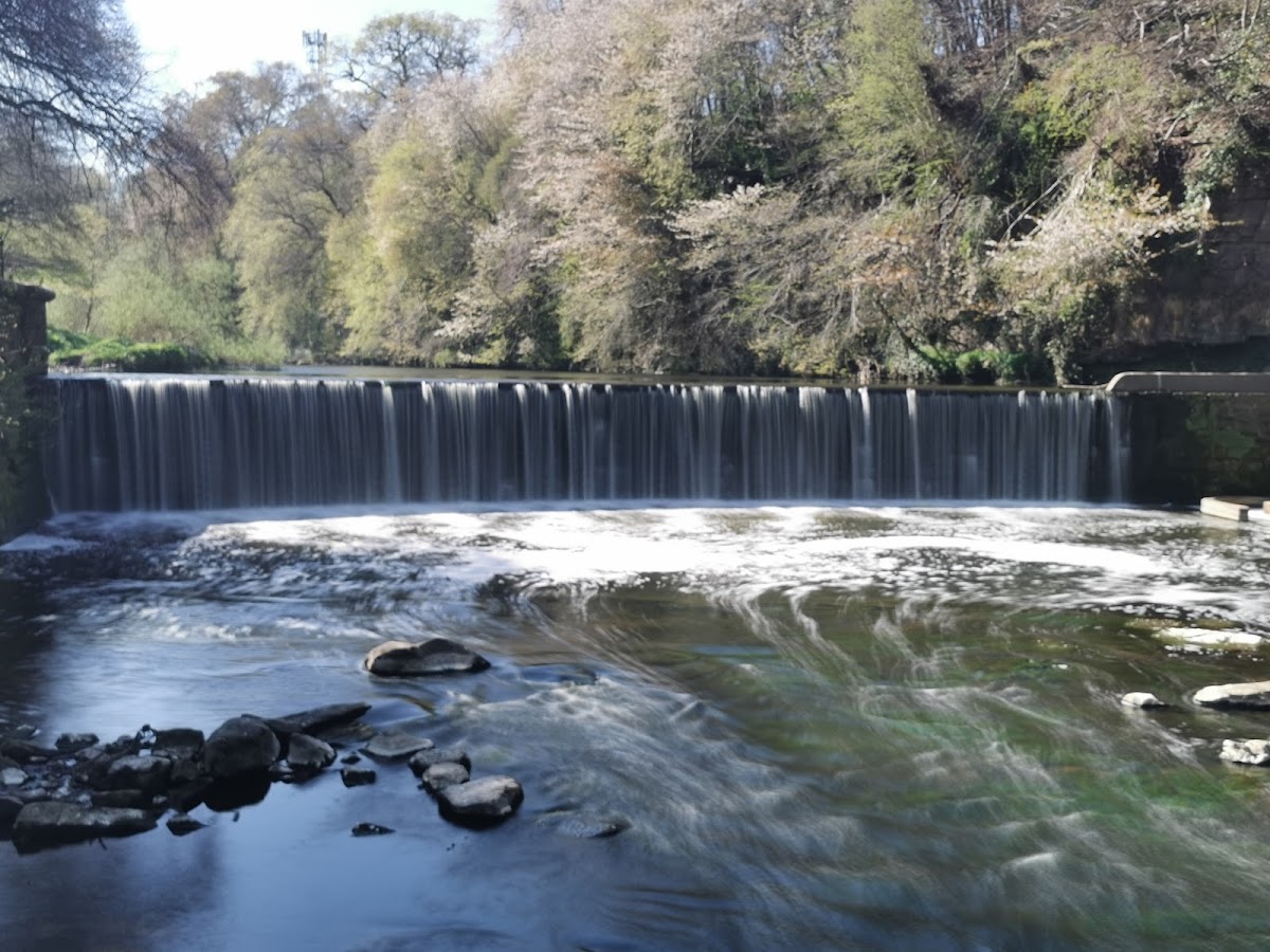 Cramond Falls Cafe