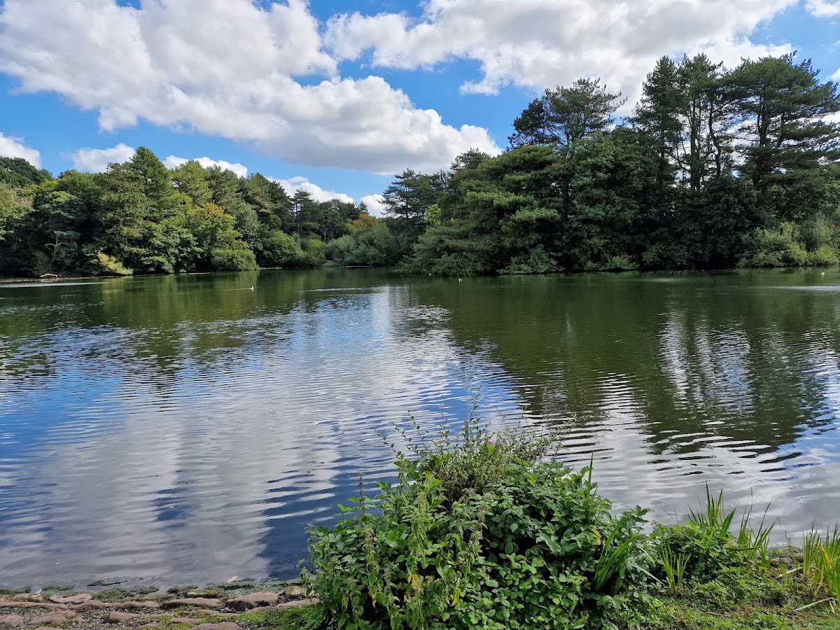 Cuerden Valley Park