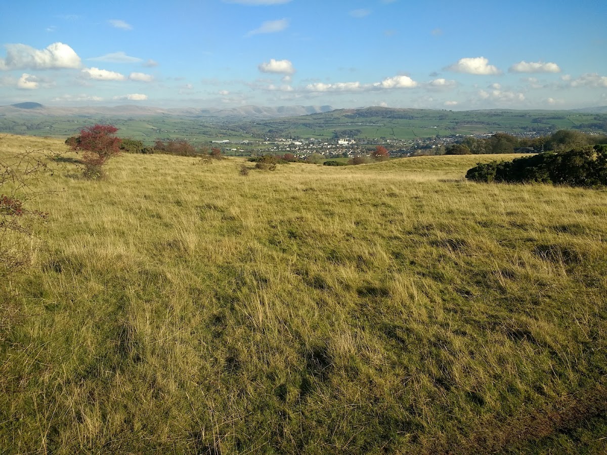 Cunswick Scar