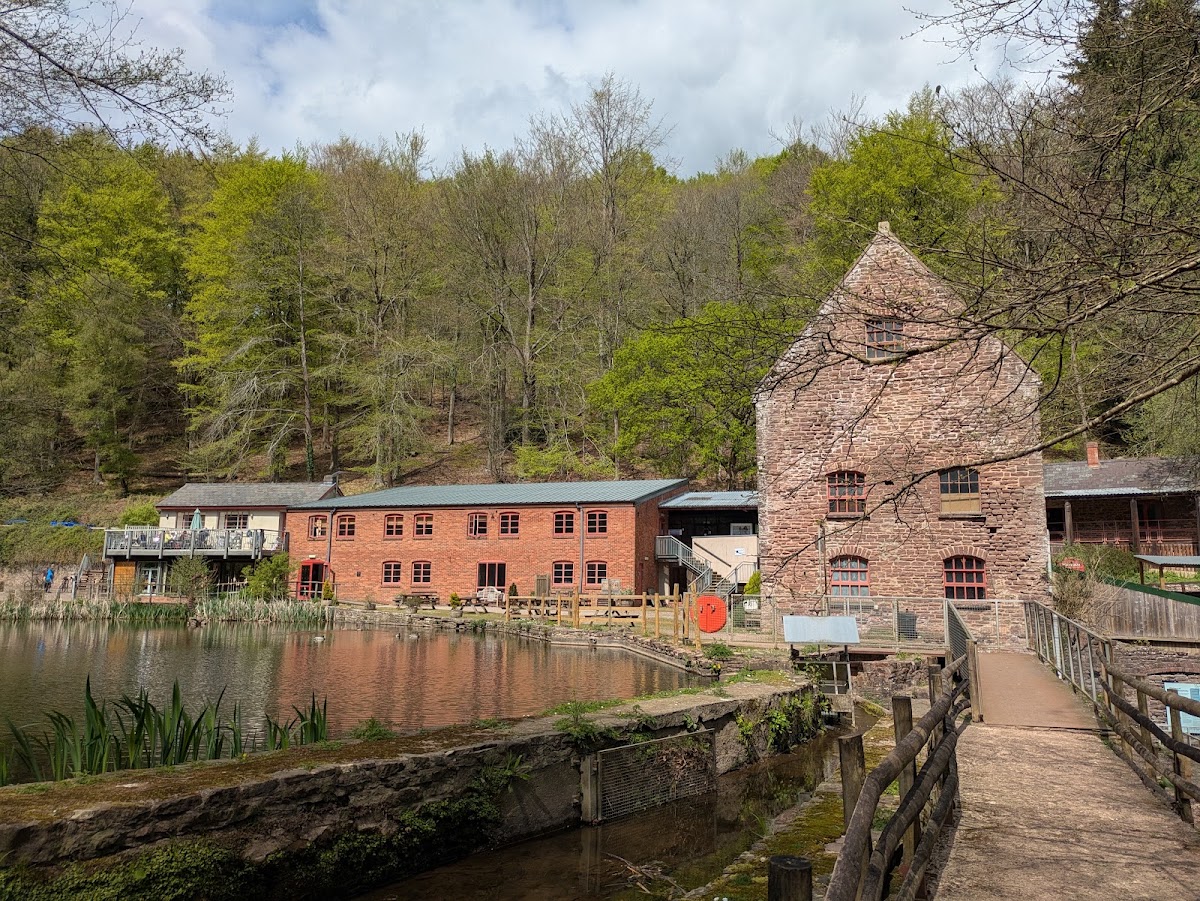 Dean Heritage Centre