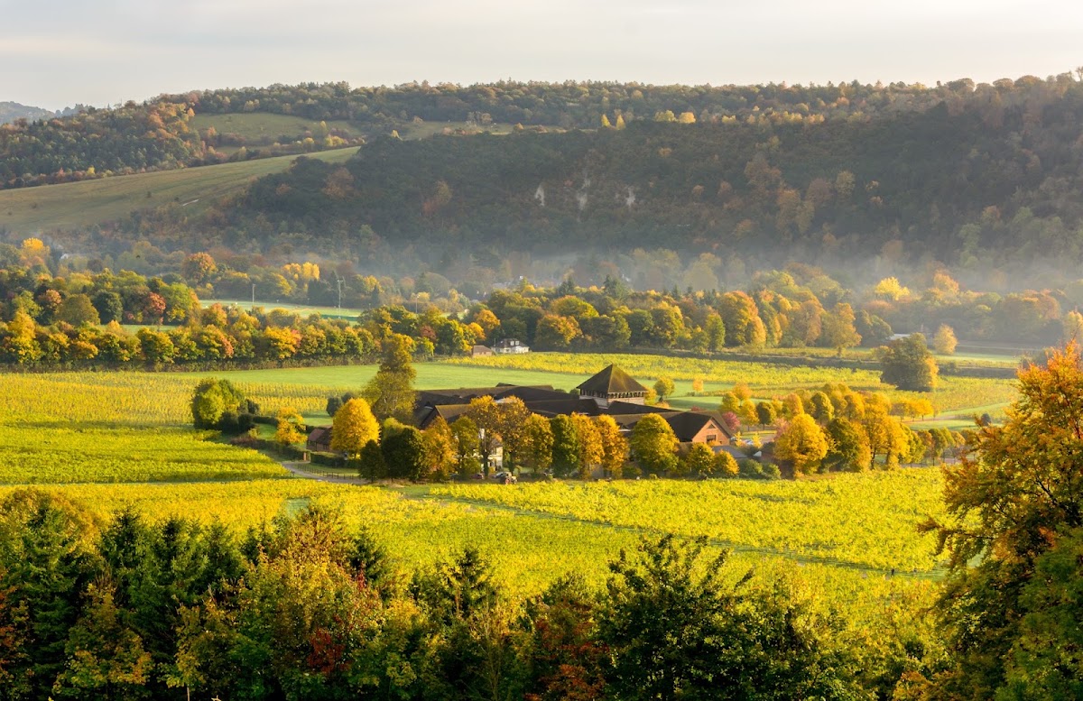 Denbies Wine Estate