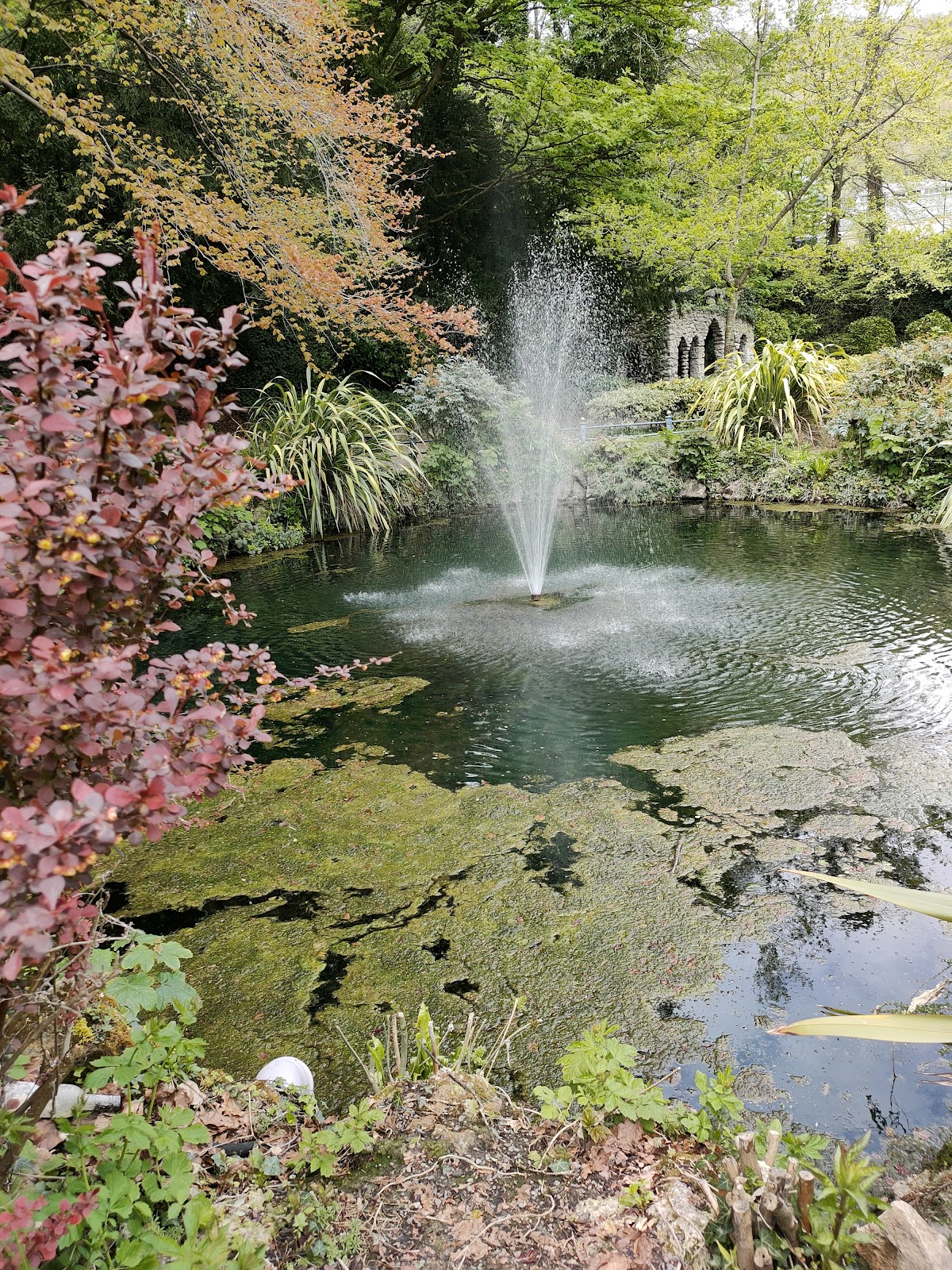 Derwent Gardens