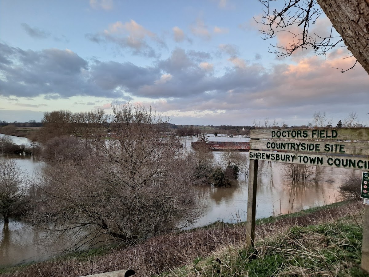 Doctors Field