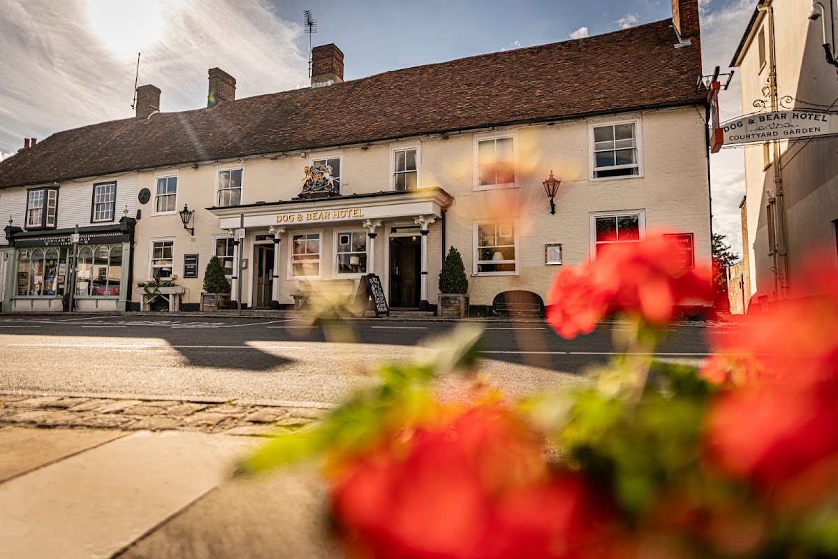 Dog & Bear Hotel