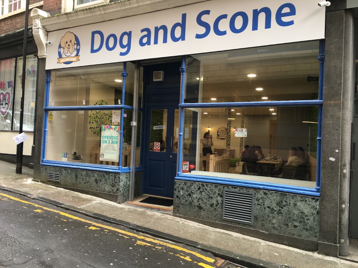 Dog and Scone