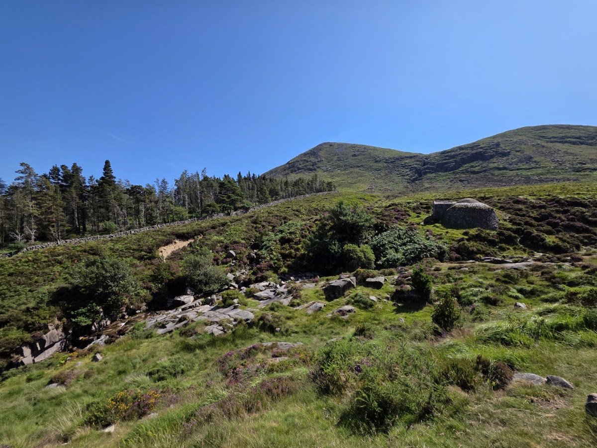 Donard Park