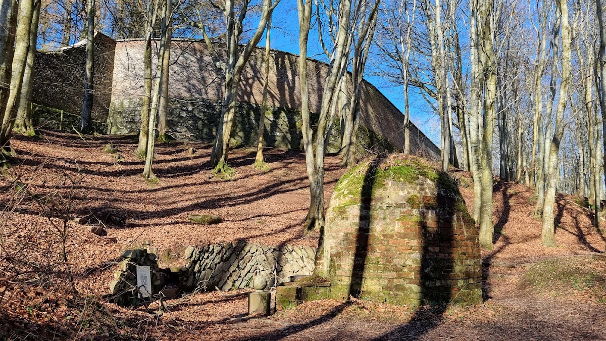 Dunnottar Woods