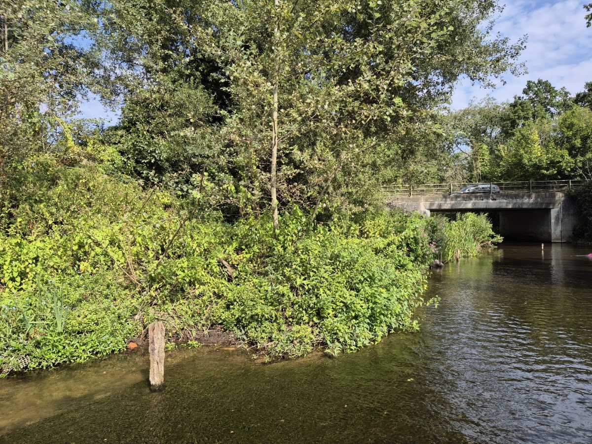Earlham Park