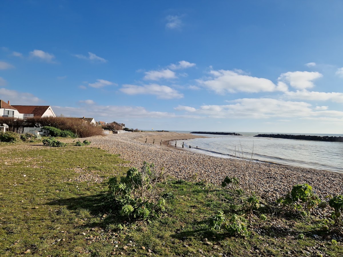 Elmer Sands Beach