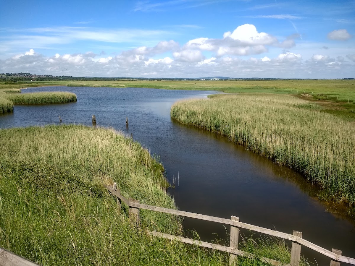 Farlington Marshes