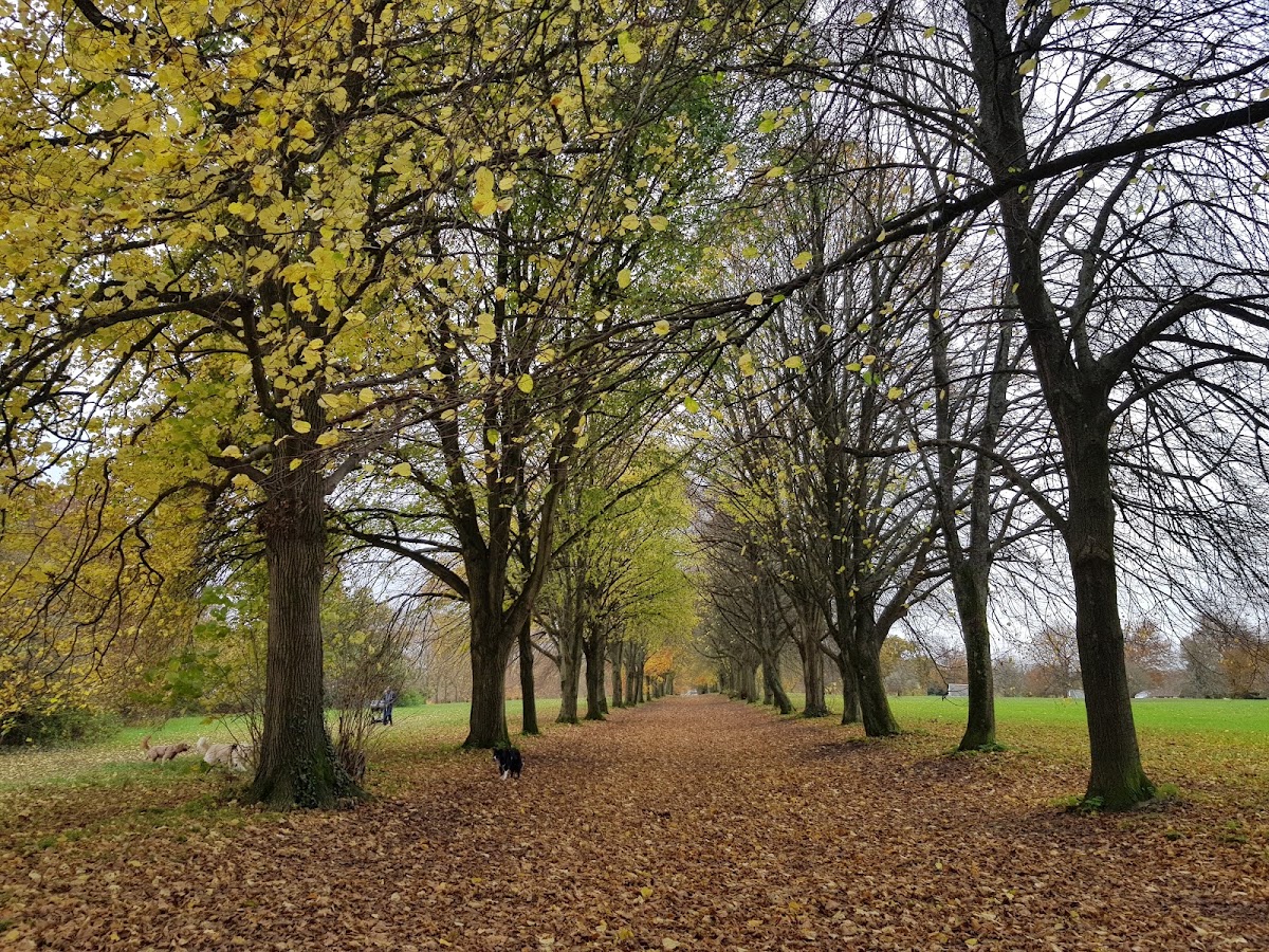 Farnham Park Cafe