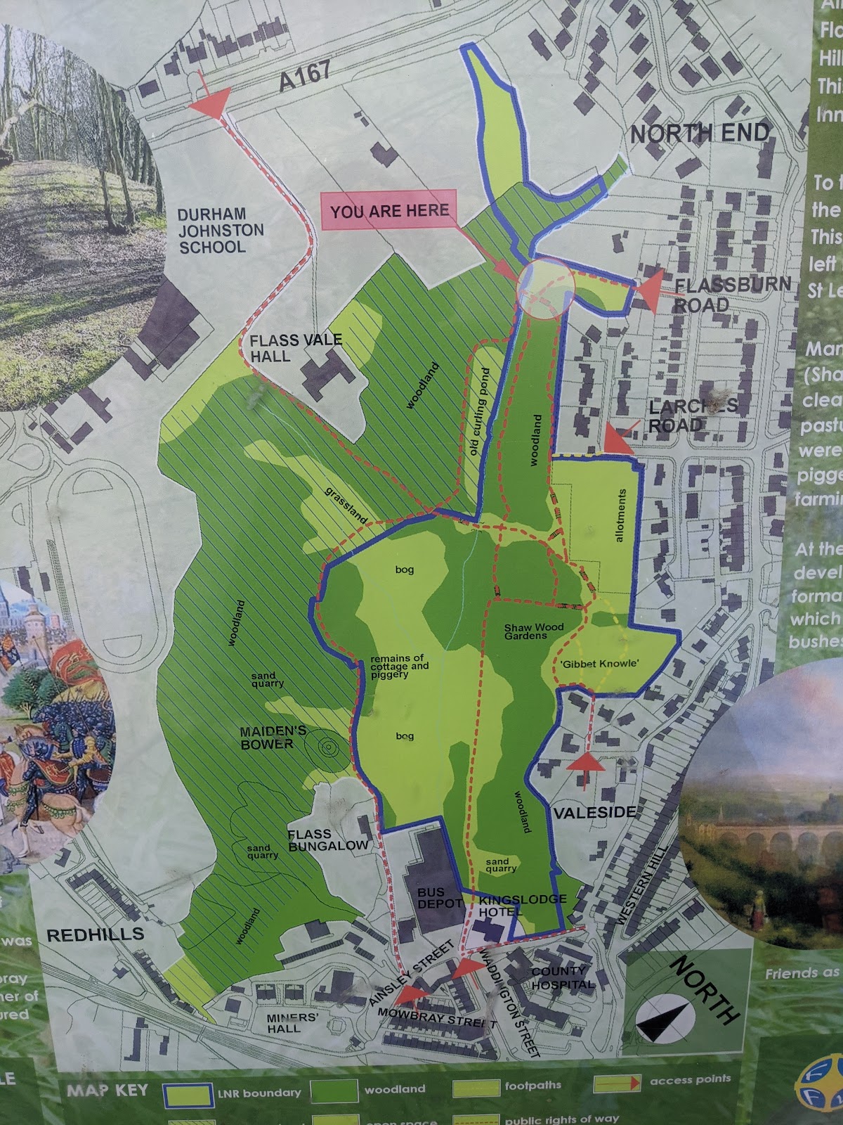 Flass Vale Local Nature Reserve