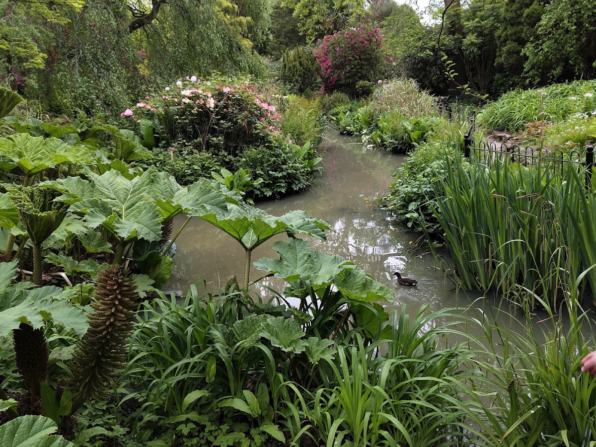 Fletcher Moss Park and Botanical Gardens