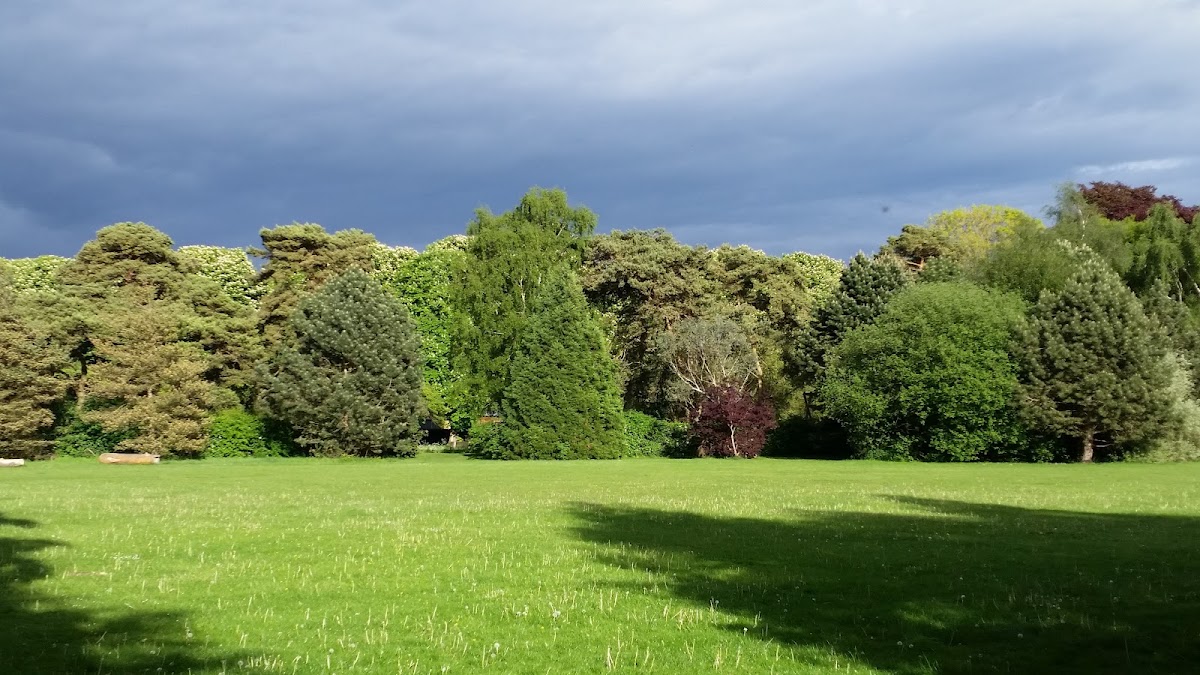 Florence Park
