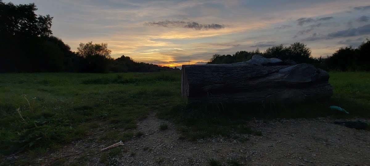 Fobney Island Nature Reserve