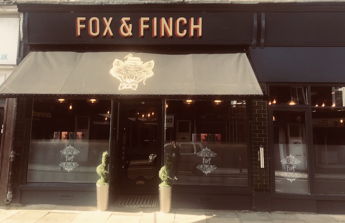 Fox and Finch