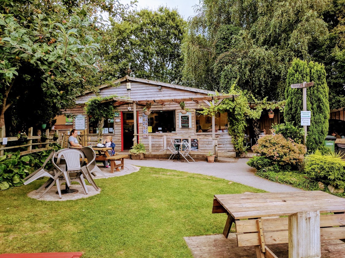 Garden Cafe at Totnes Rare Breeds Farm