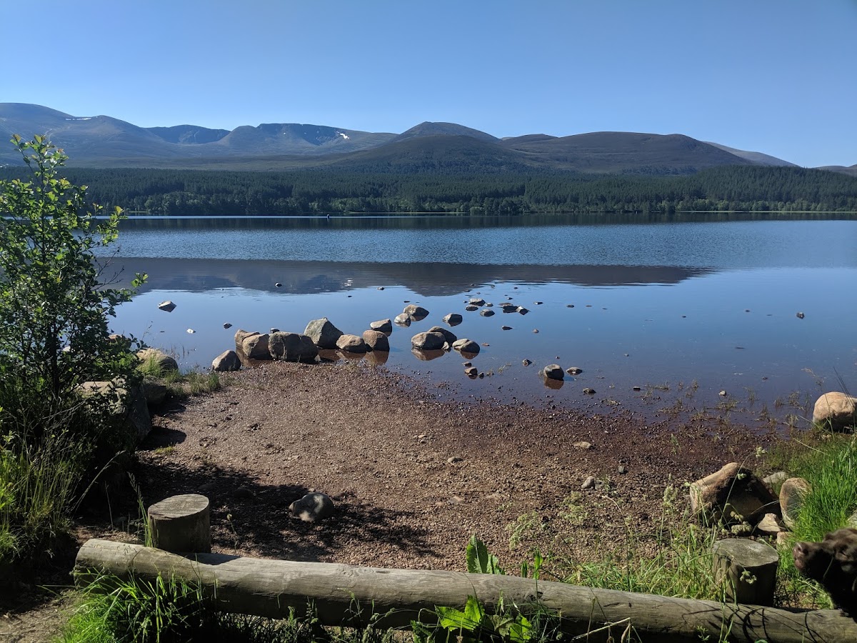 Glenmore Forest Park