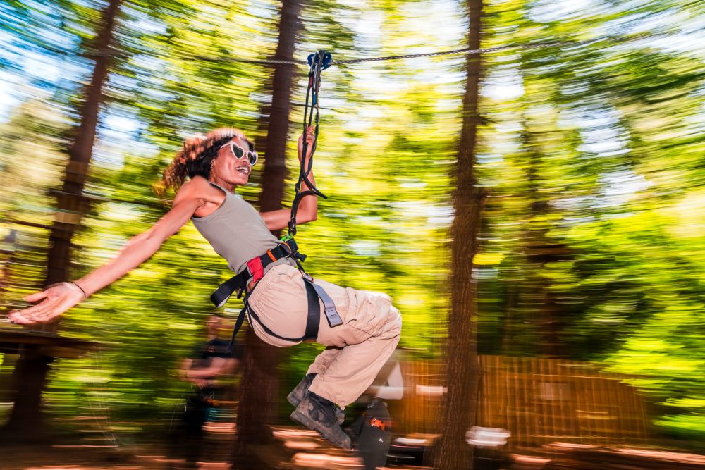 Go Ape Glentress Forest
