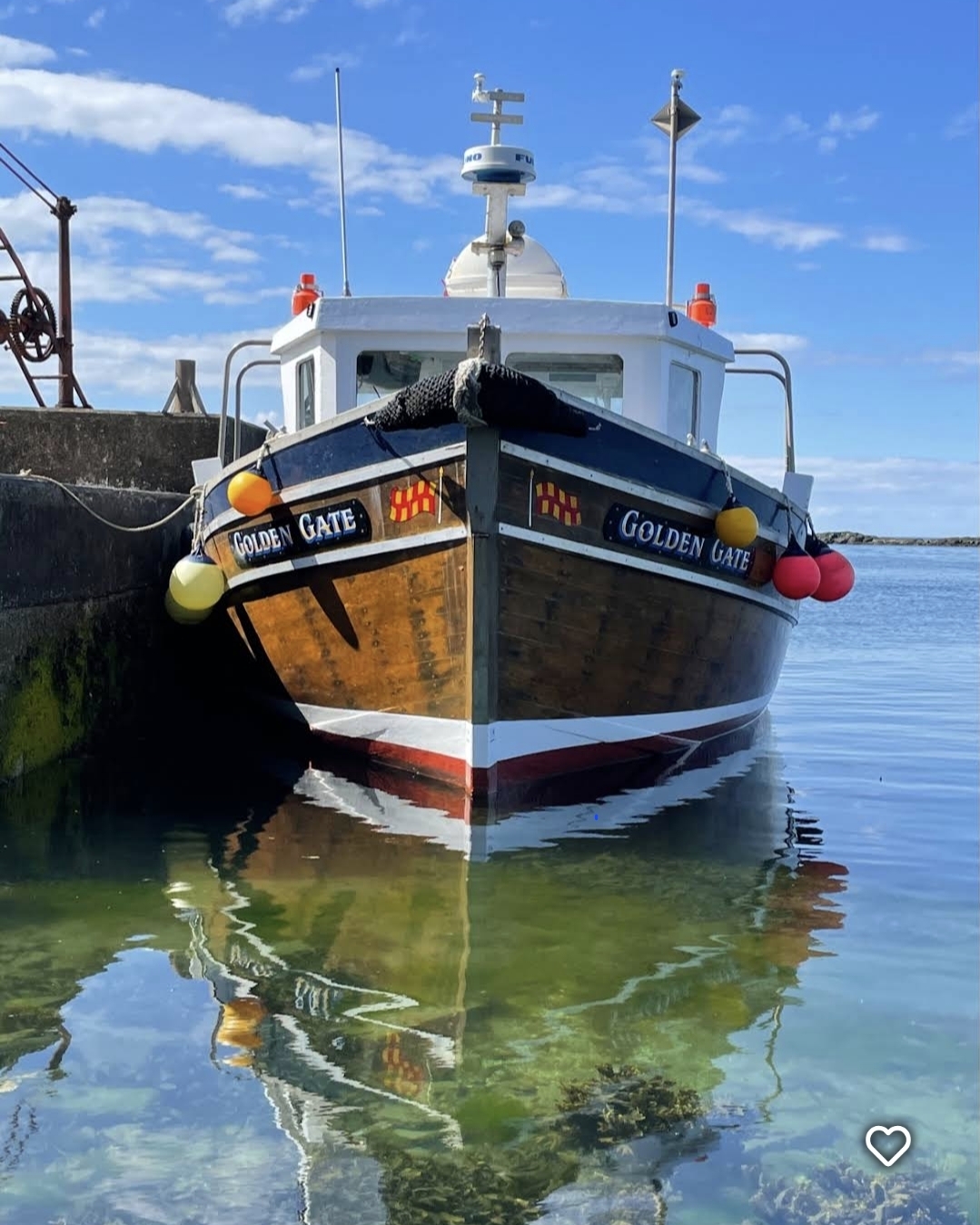 Golden Gate Farne Islands Boat Trips