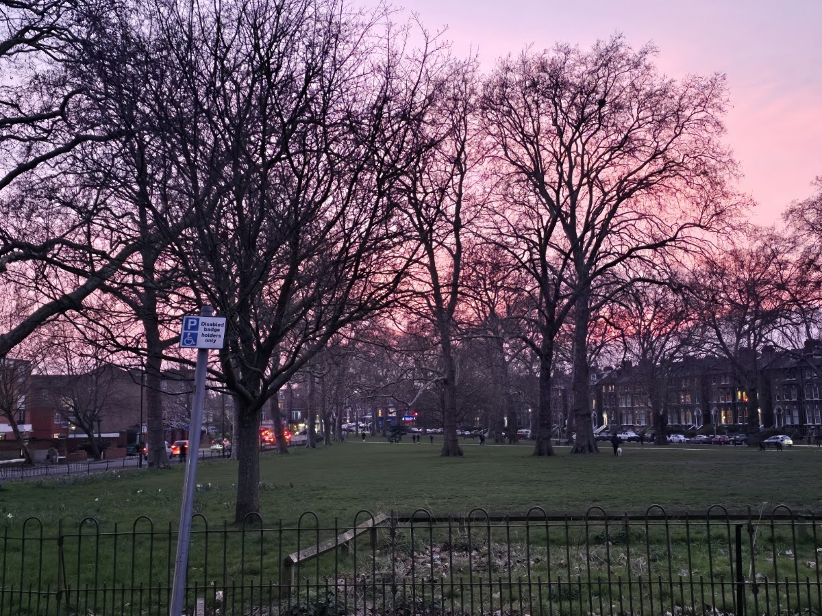 Goose Green