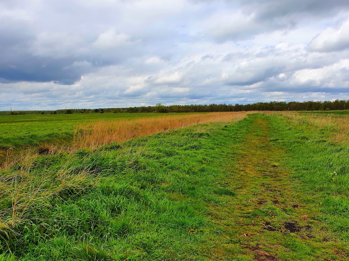 Great Fen - New Decoy and Ramsey Heights